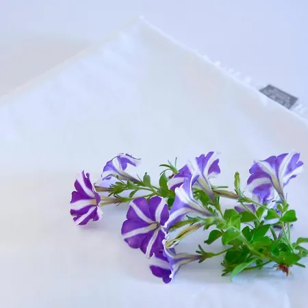 דירה Xristina *